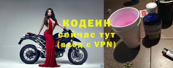 спиды Ладушкин