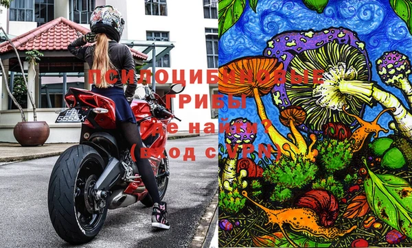 PSILOCYBIN Лабытнанги