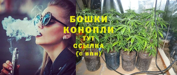 прущие грибы Абдулино